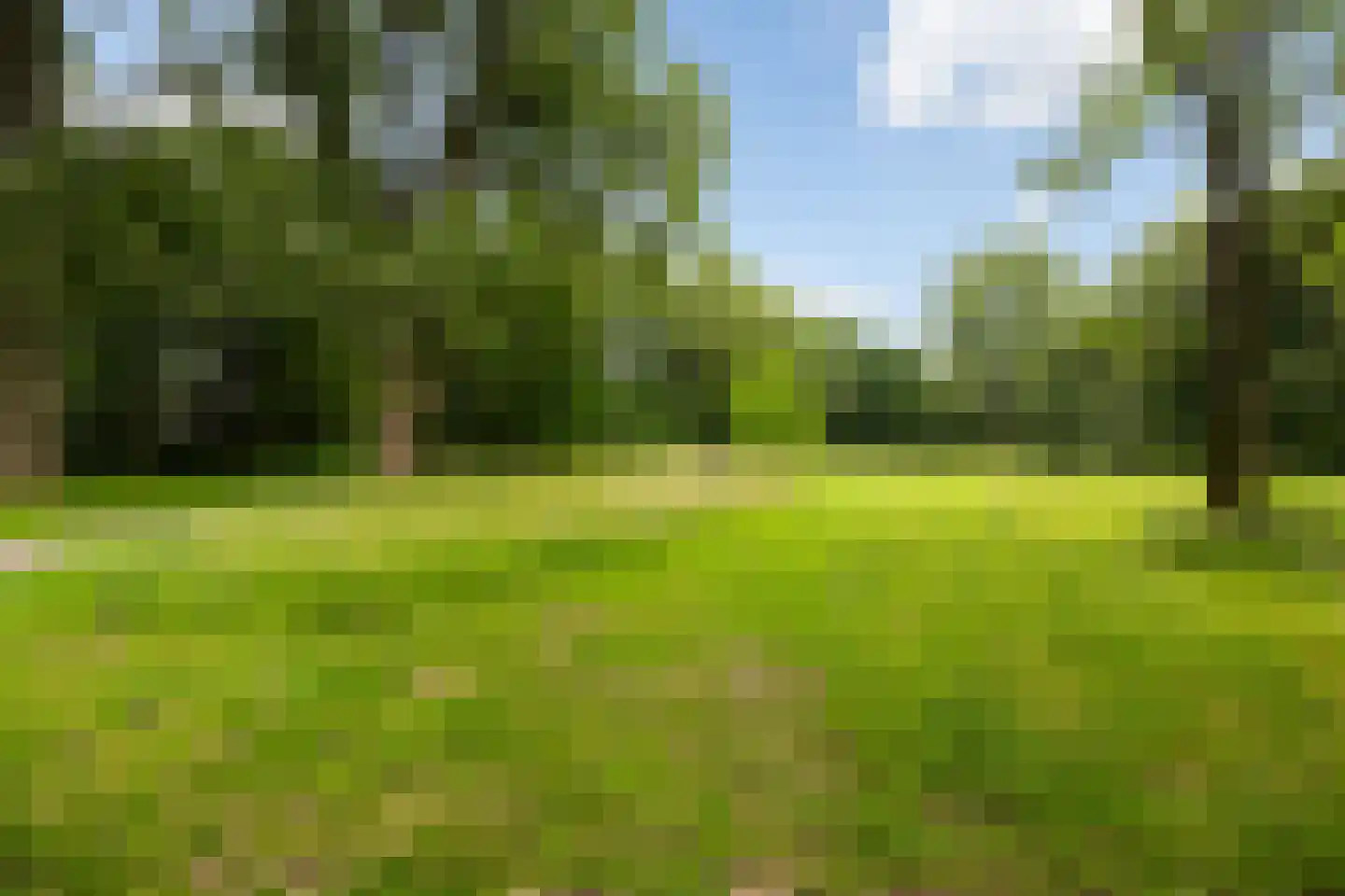 De Velduil 91 Amersfoort thumbnail 36