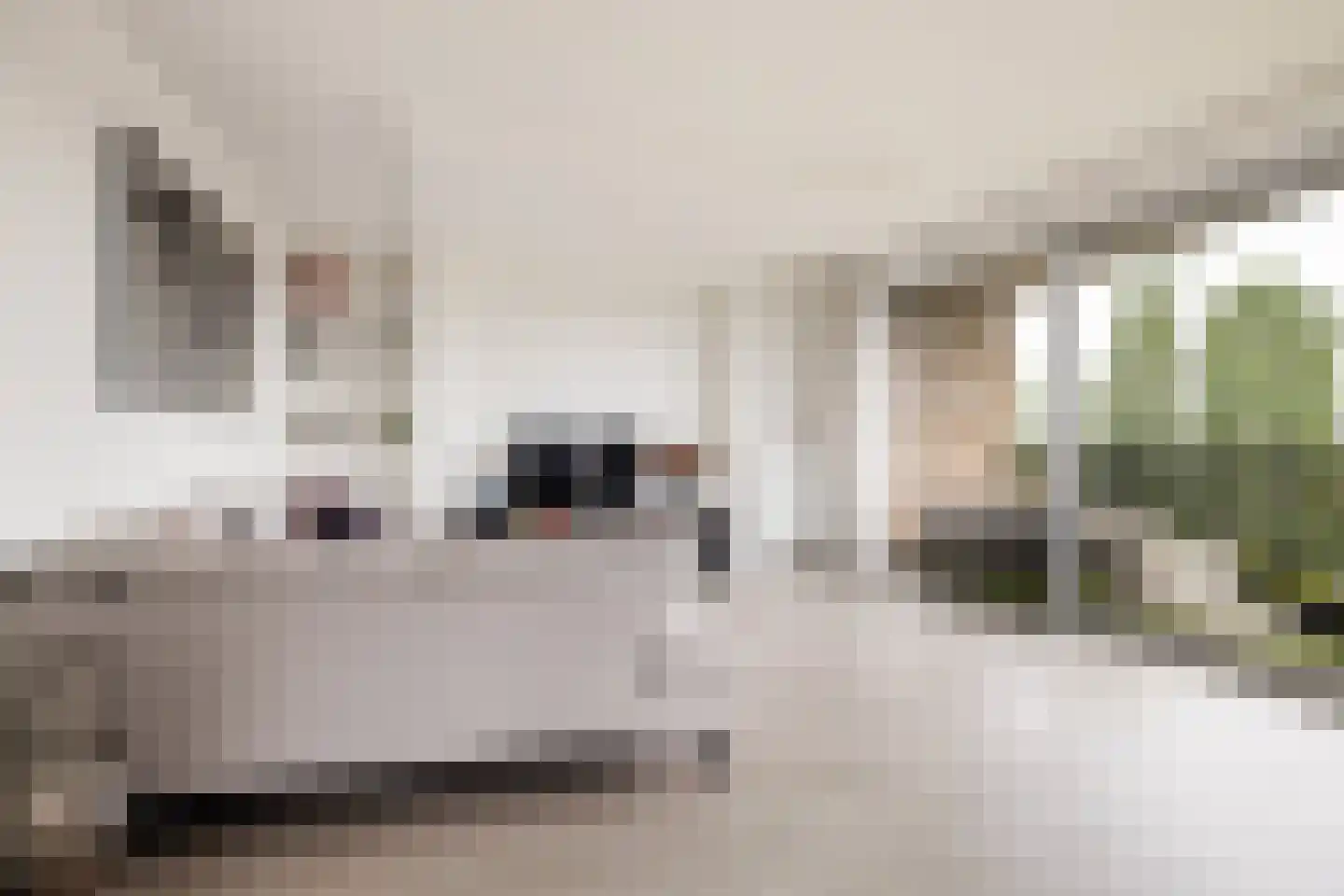 De Velduil 91 Amersfoort thumbnail 5