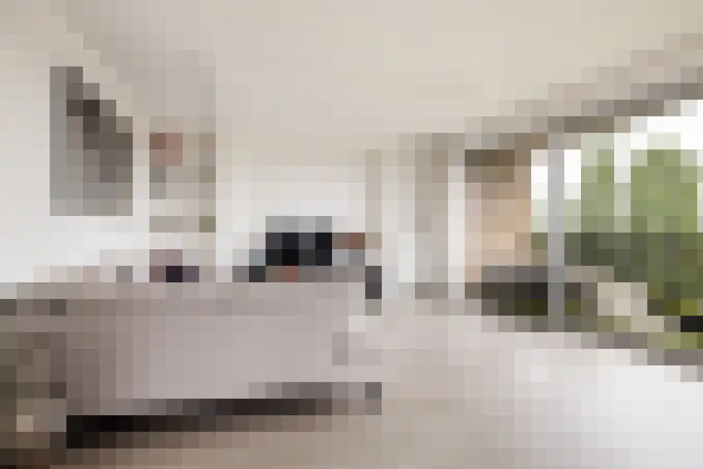 De Velduil 91 Amersfoort thumbnail 7