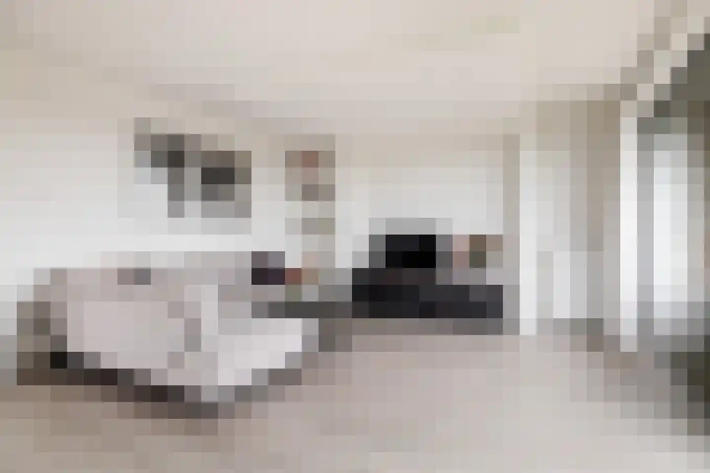 De Velduil 91 Amersfoort thumbnail 8