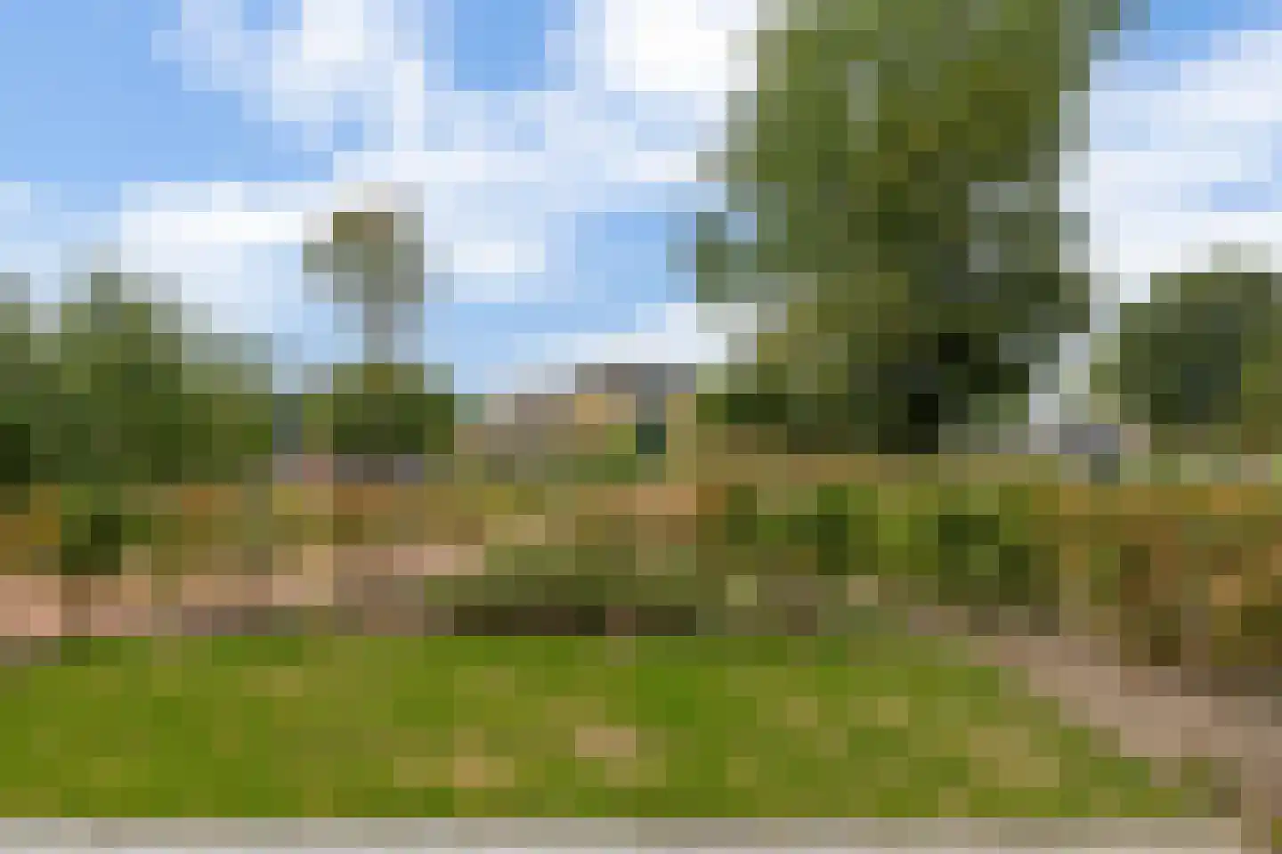 De Veldwachter 1 Schagen thumbnail 25