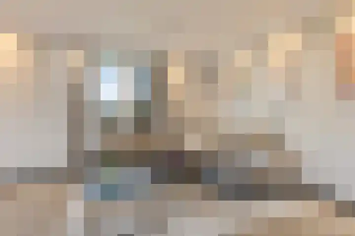 De Veldwachter 29 Schagen thumbnail 12