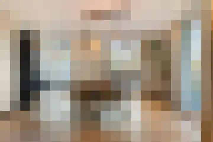 De Veldwachter 29 Schagen thumbnail 15