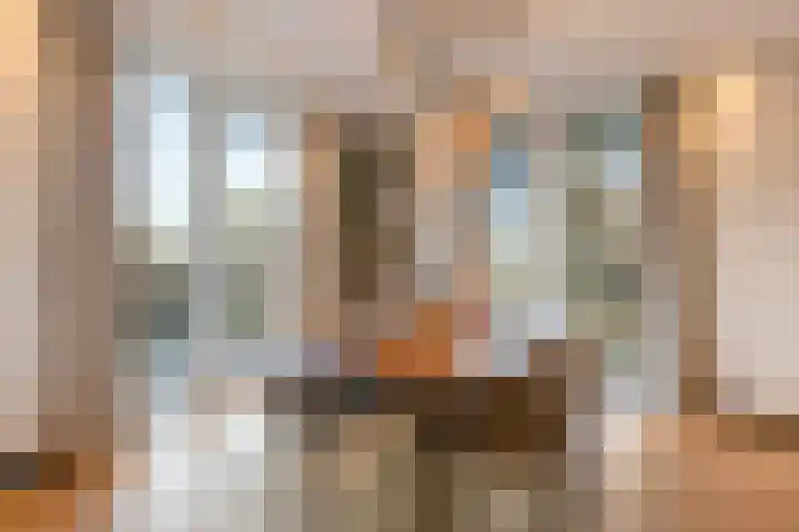 De Veldwachter 29 Schagen thumbnail 16