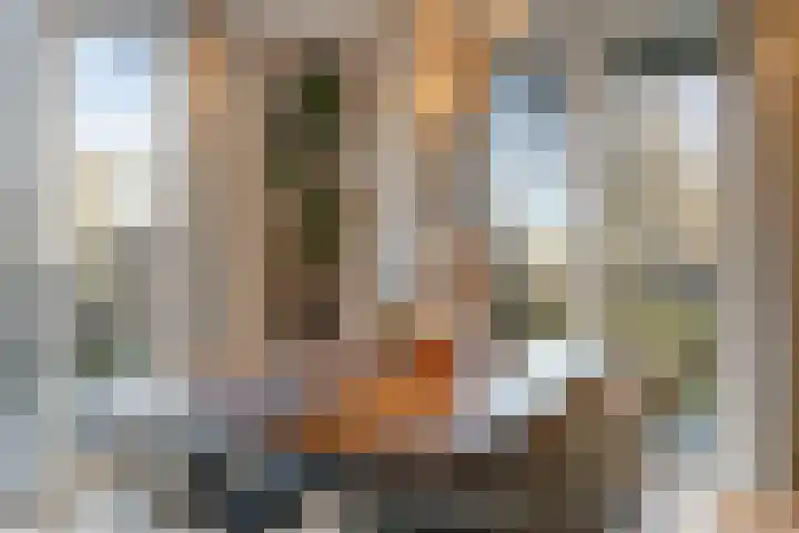 De Veldwachter 29 Schagen thumbnail 17