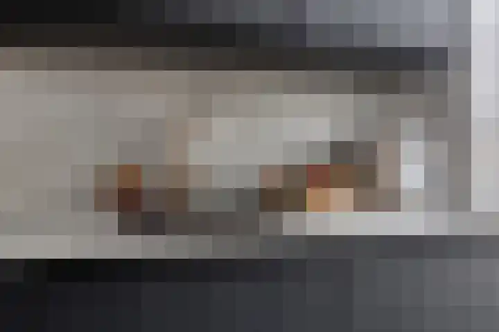 De Veldwachter 29 Schagen thumbnail 19