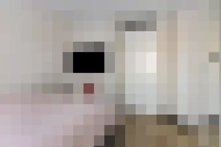 De Veldwachter 29 Schagen thumbnail 21