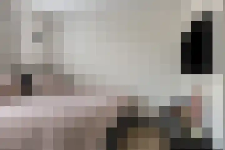 De Veldwachter 29 Schagen thumbnail 22