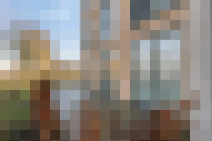 De Veldwachter 29 Schagen thumbnail 27