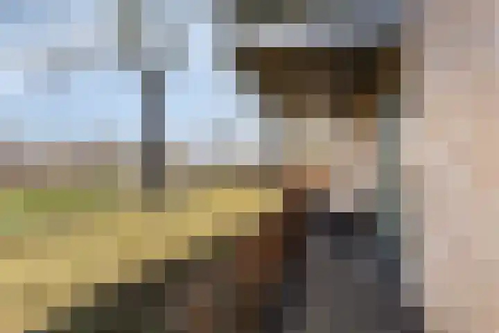 De Veldwachter 29 Schagen thumbnail 28