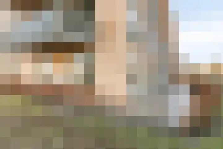 De Veldwachter 29 Schagen thumbnail 29