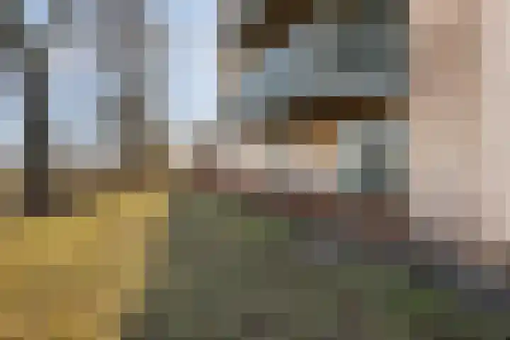 De Veldwachter 29 Schagen thumbnail 30