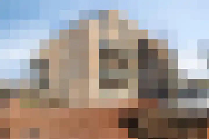 De Veldwachter 29 Schagen thumbnail 33