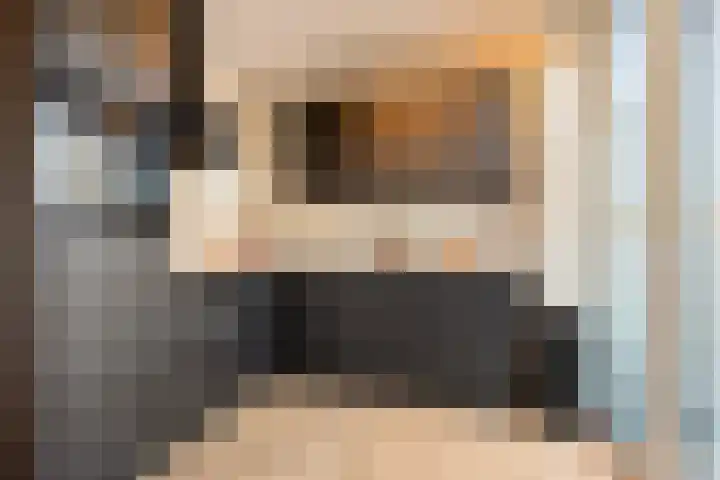 De Veldwachter 29 Schagen thumbnail 4
