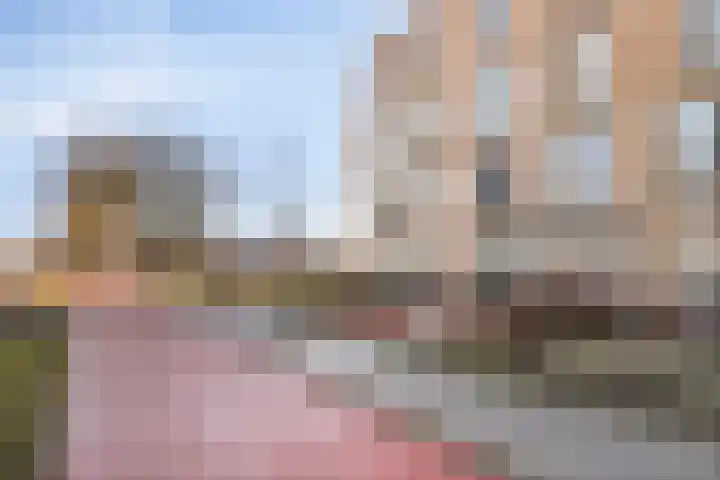 De Veldwachter 29 Schagen thumbnail 7