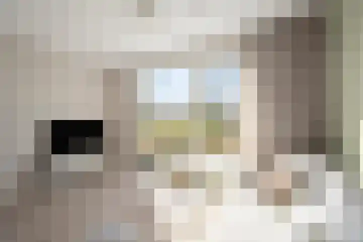 De Veldwachter 72 Schagen thumbnail 11
