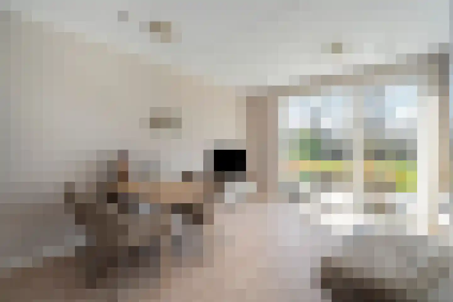 De Veldwachter 72 Schagen thumbnail 12
