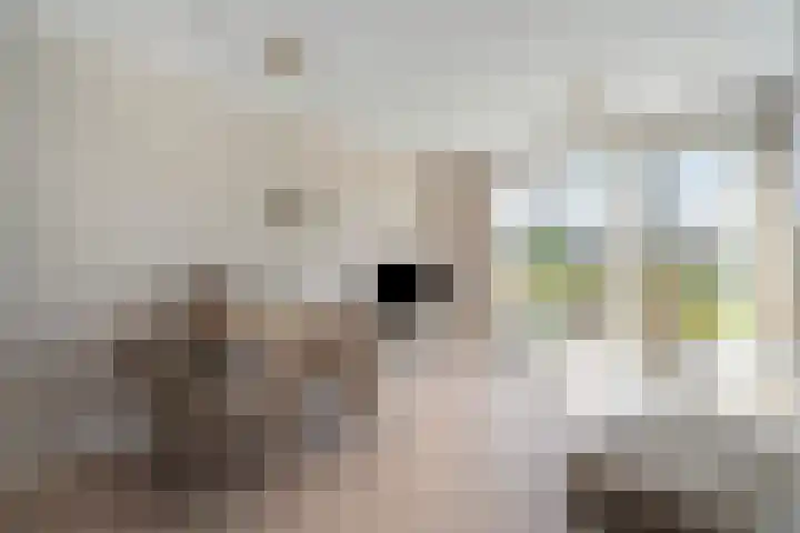 De Veldwachter 72 Schagen thumbnail 12