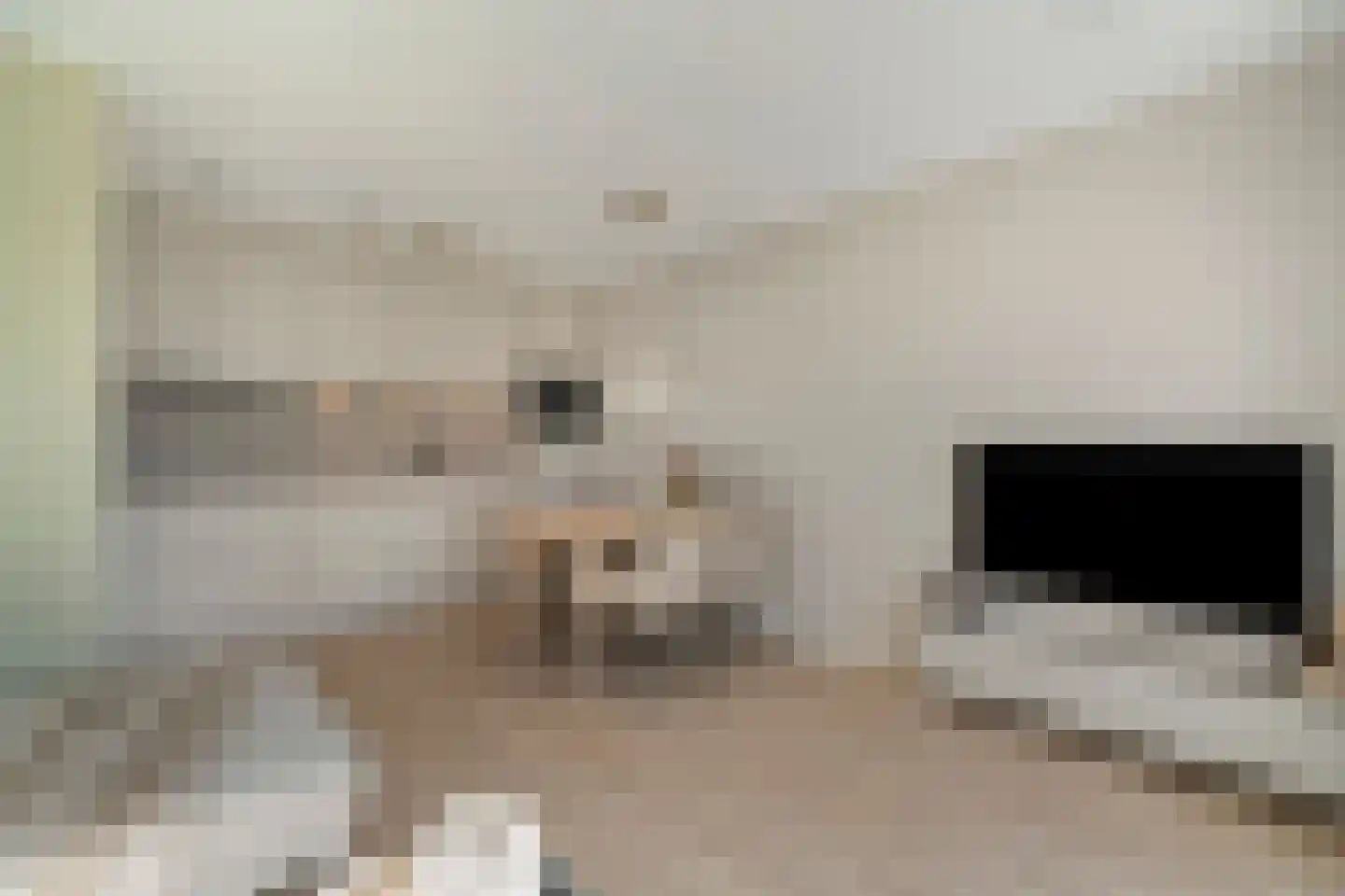 De Veldwachter 72 Schagen thumbnail 15