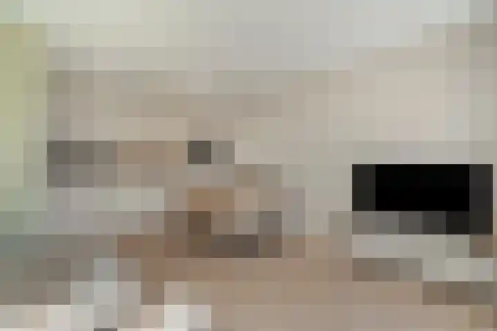 De Veldwachter 72 Schagen thumbnail 15