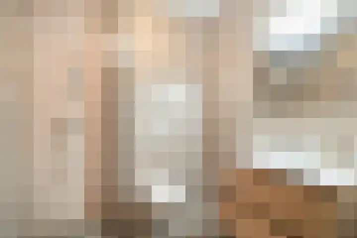 De Veldwachter 72 Schagen thumbnail 22