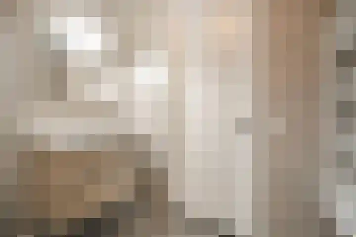 De Veldwachter 72 Schagen thumbnail 24