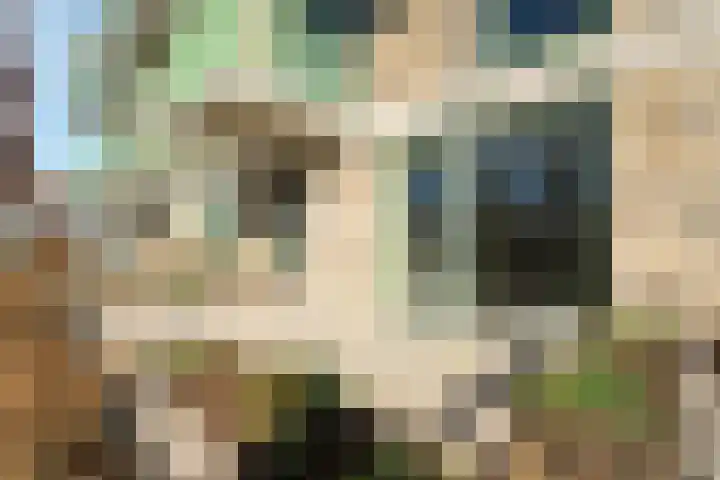 De Veldwachter 72 Schagen thumbnail 25