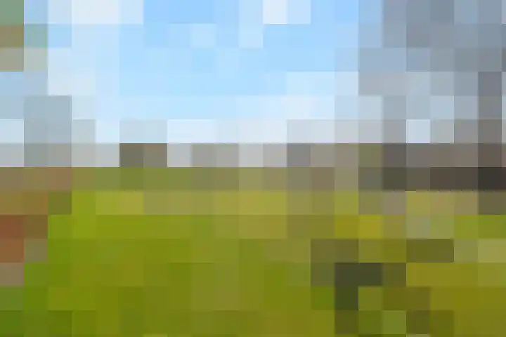 De Veldwachter 72 Schagen thumbnail 27