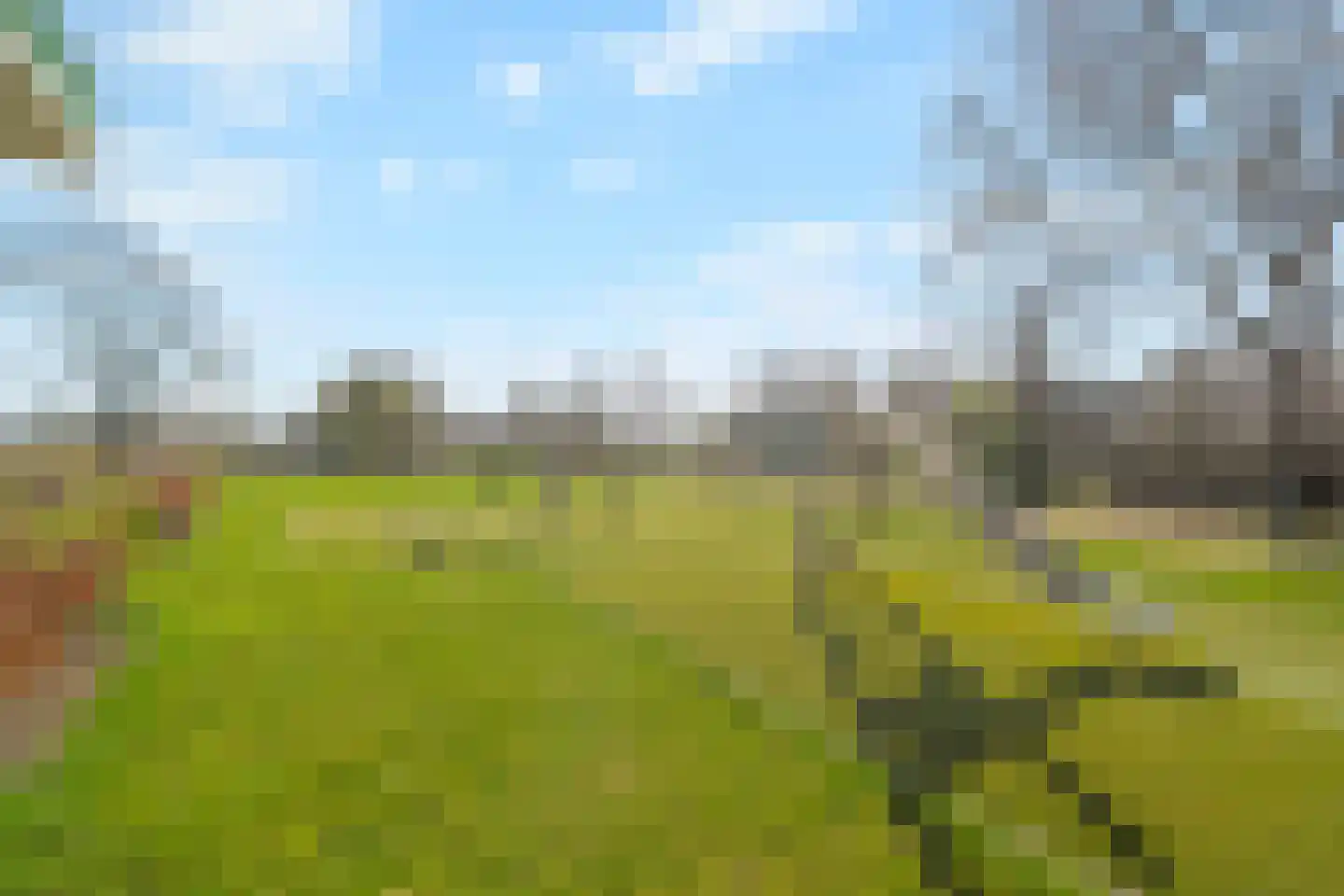 De Veldwachter 72 Schagen thumbnail 27