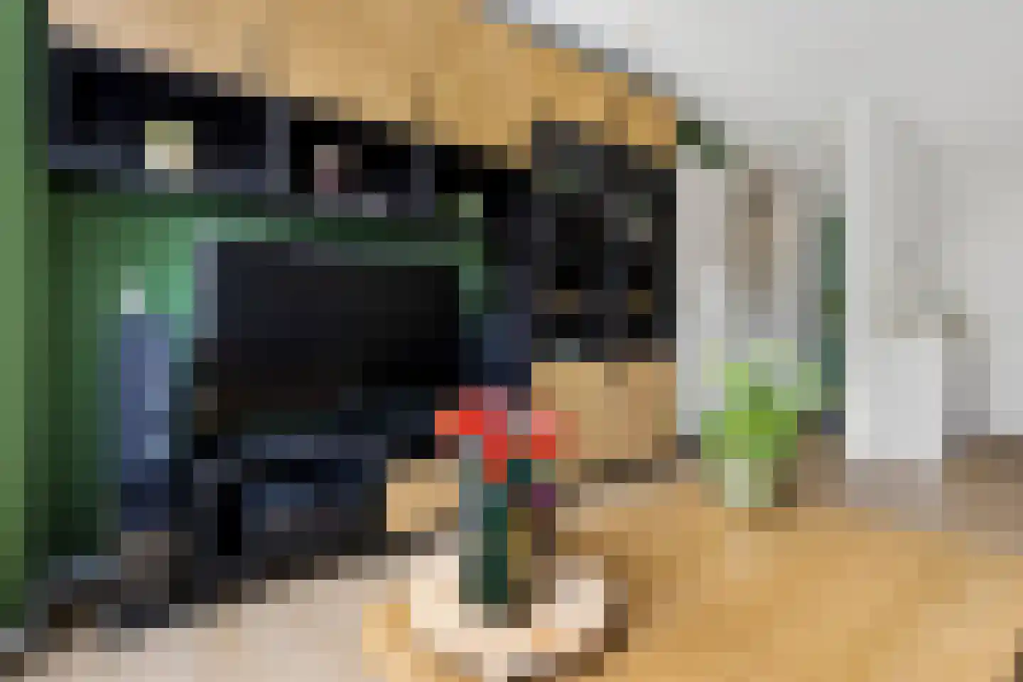 De Veldwachter 81 Schagen thumbnail 11