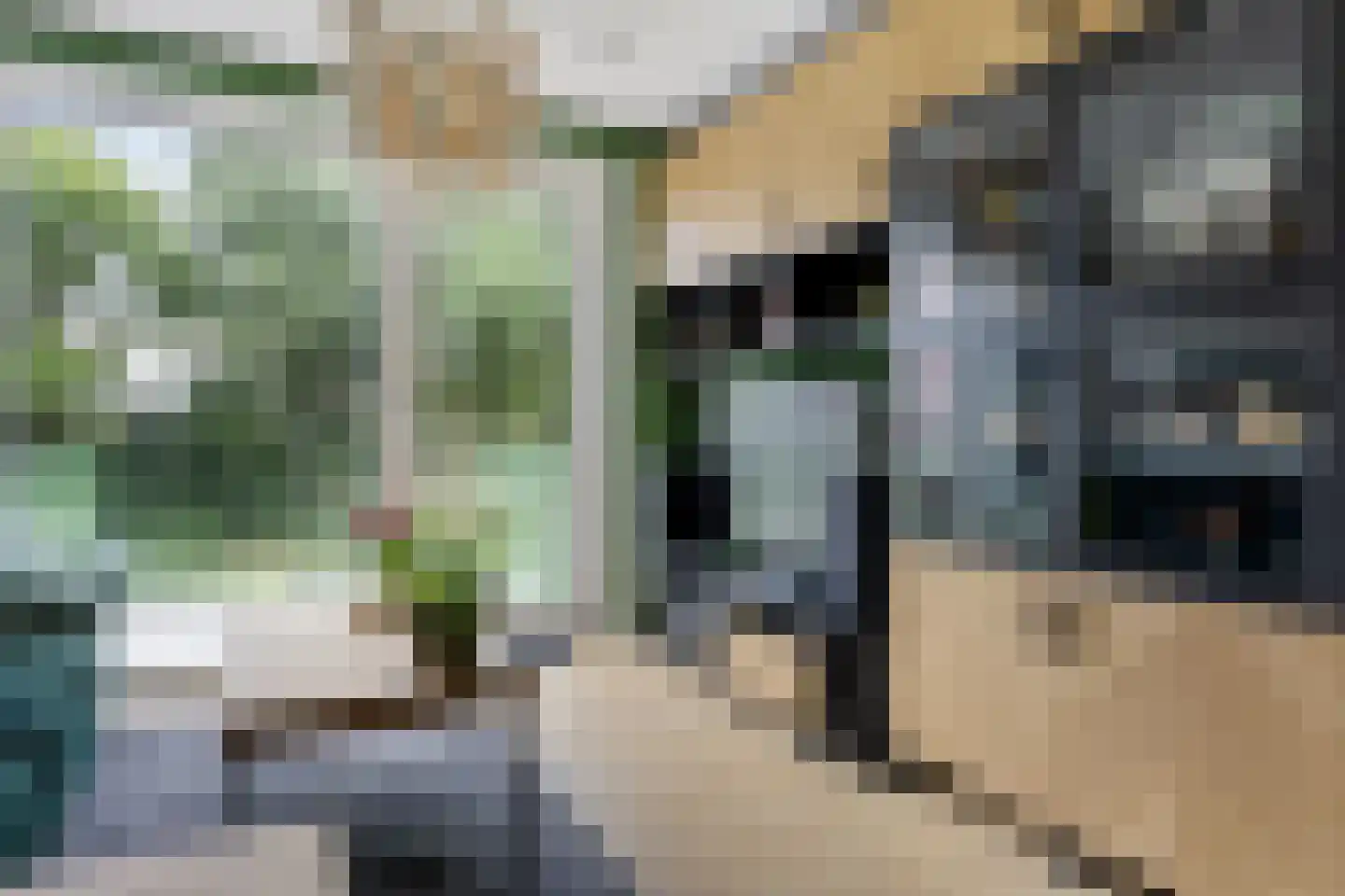 De Veldwachter 81 Schagen thumbnail 12