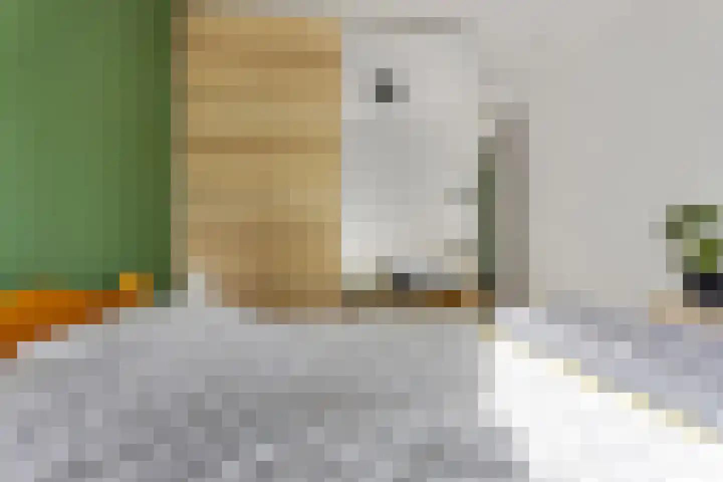 De Veldwachter 81 Schagen thumbnail 22