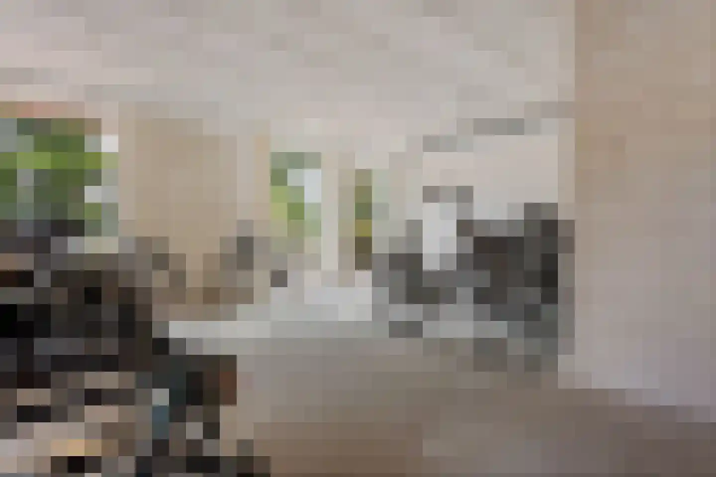 De Veldwachter 81 Schagen thumbnail 5
