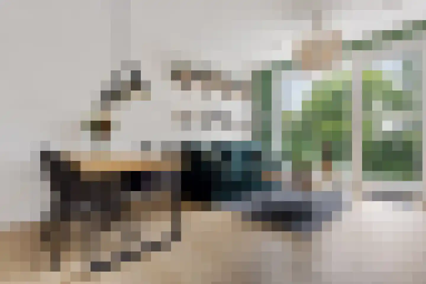 De Veldwachter 81 Schagen thumbnail 9