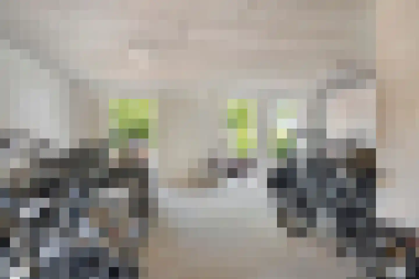 De Veldwachter 94 Schagen thumbnail 27
