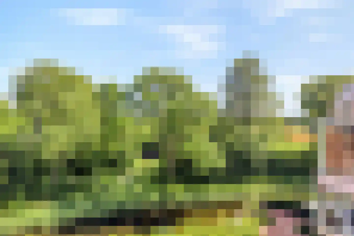 De Veldwachter 94 Schagen thumbnail 28