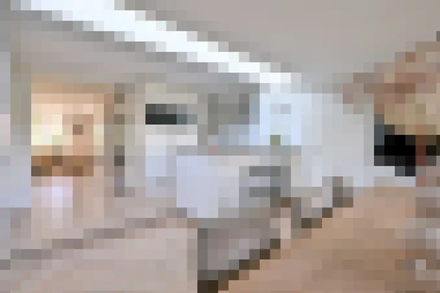 De Veldweide 12 Brummen thumbnail 10