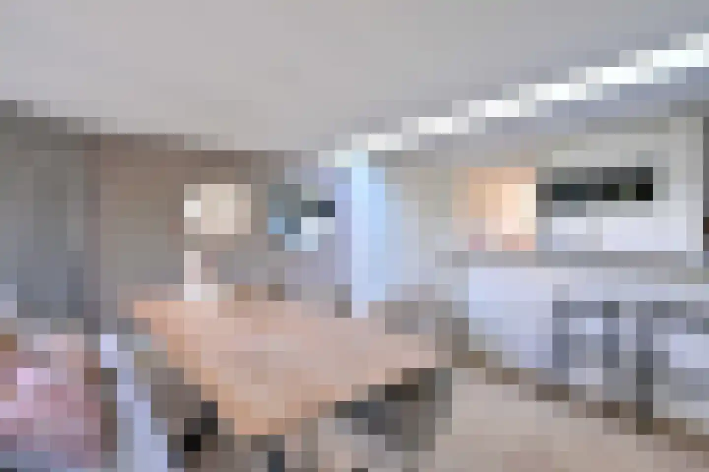 De Veldweide 12 Brummen thumbnail 12