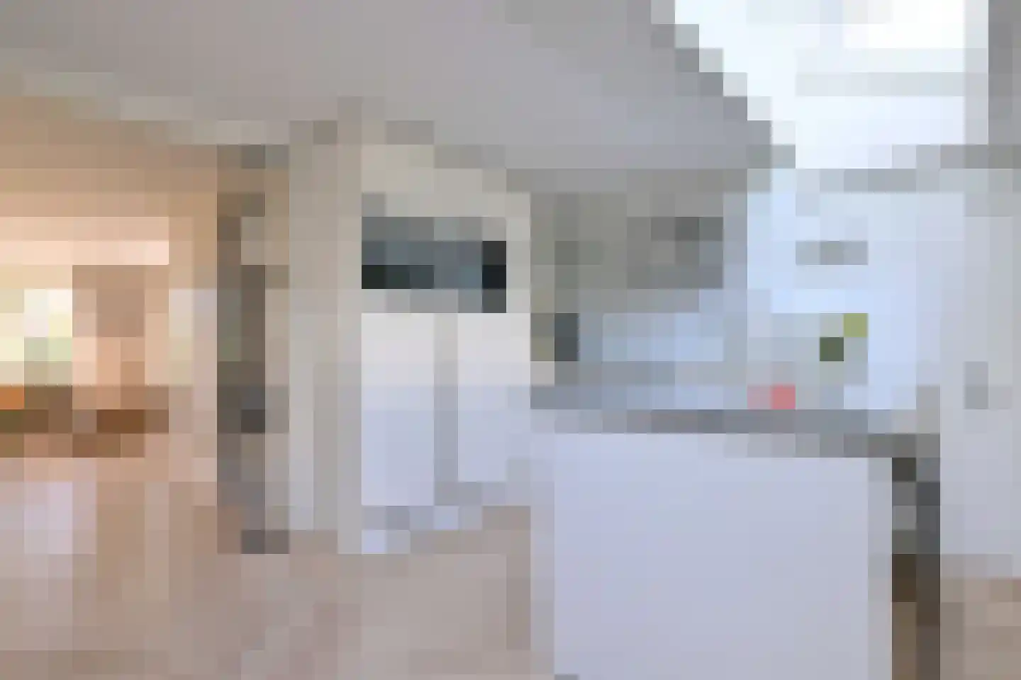 De Veldweide 12 Brummen thumbnail 14