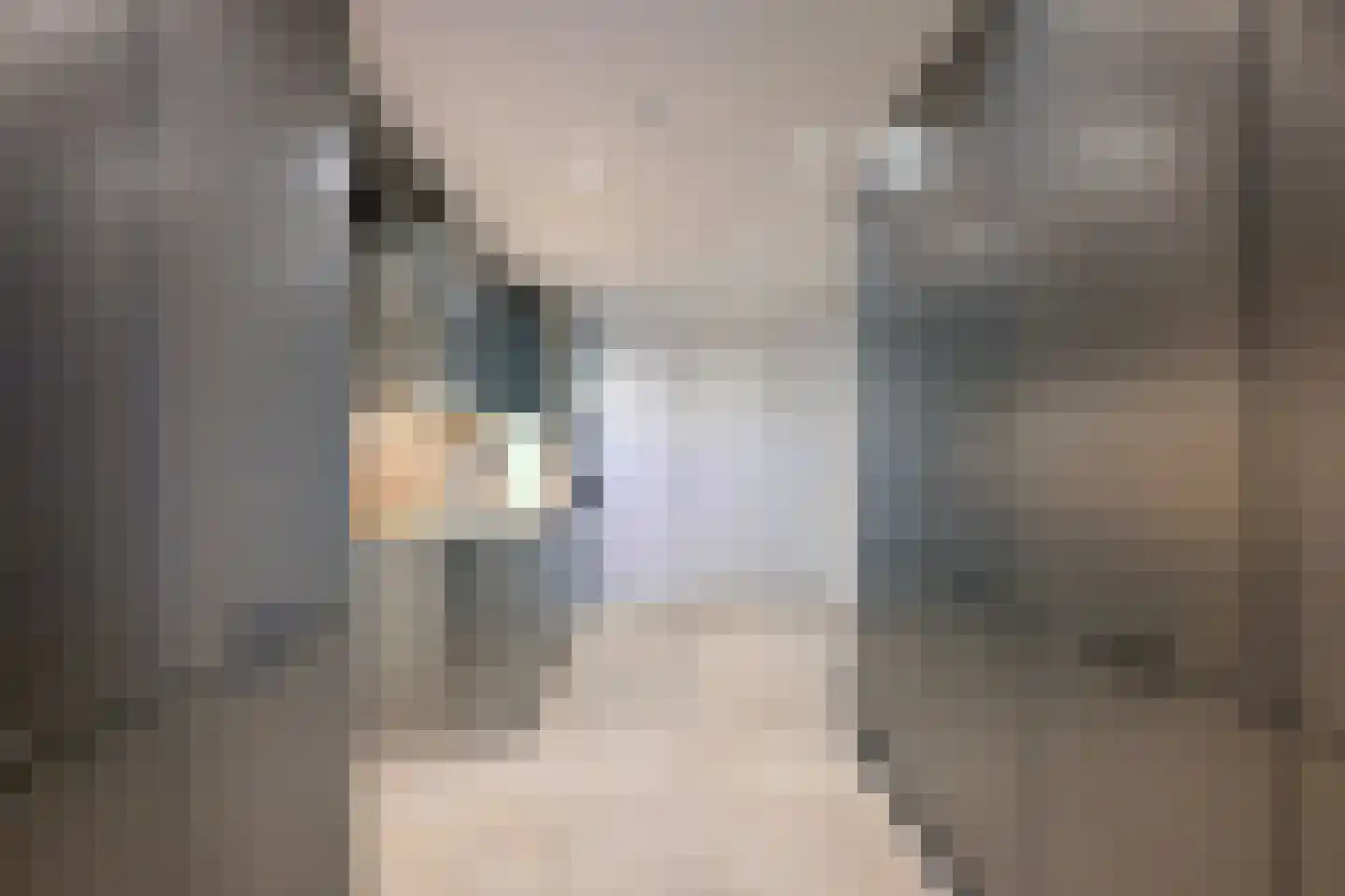 De Veldweide 12 Brummen thumbnail 17