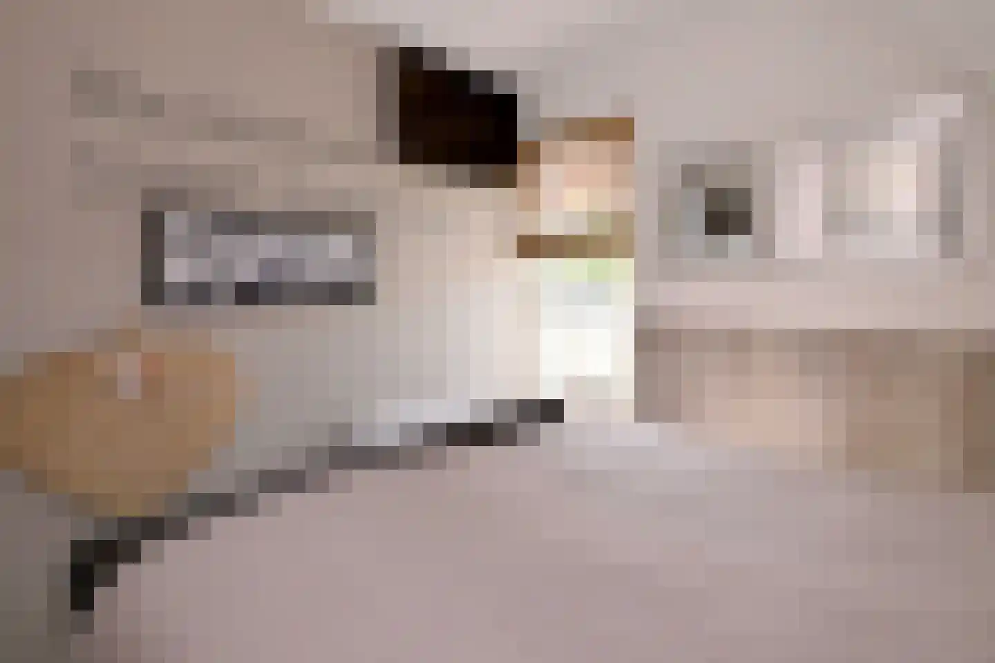 De Veldweide 12 Brummen thumbnail 22