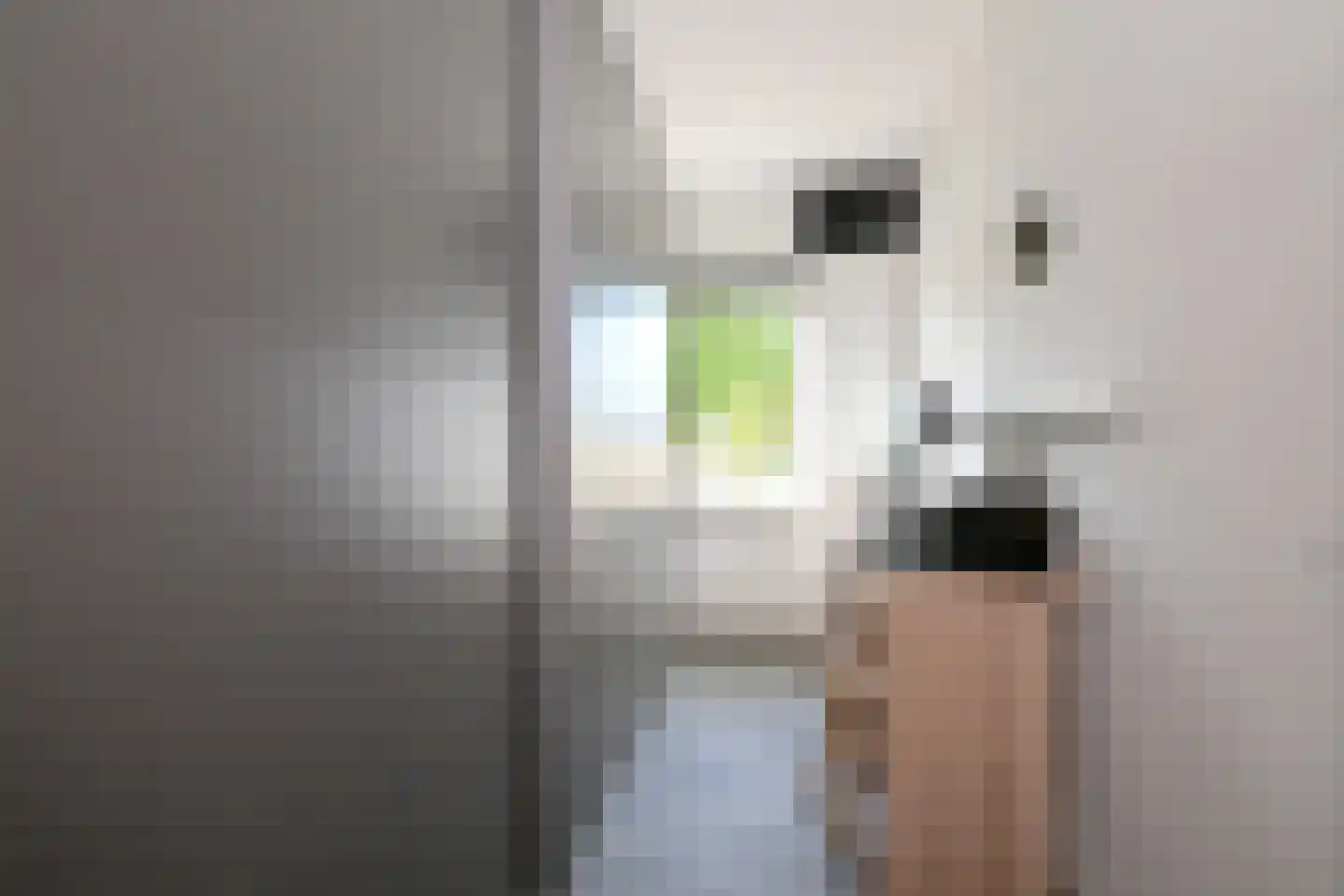 De Veldweide 12 Brummen thumbnail 25