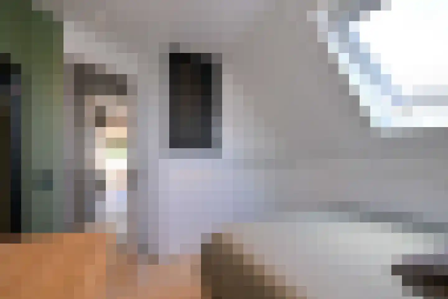 De Veldweide 12 Brummen thumbnail 29