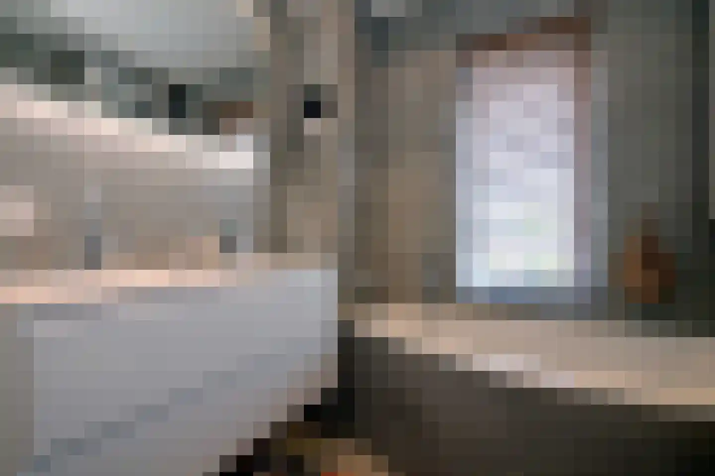 De Veldweide 12 Brummen thumbnail 31