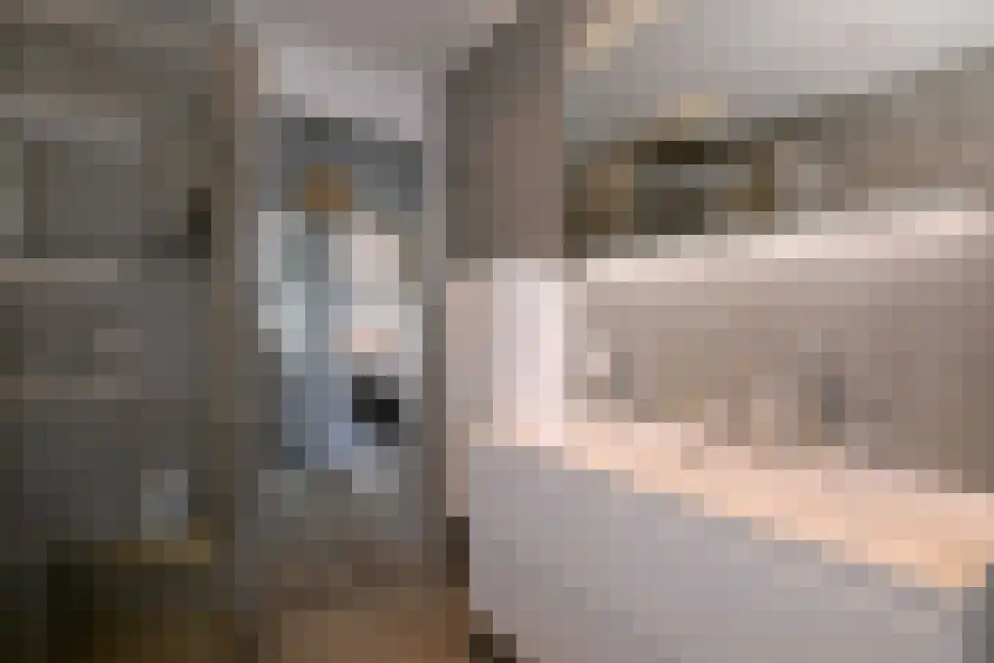 De Veldweide 12 Brummen thumbnail 32