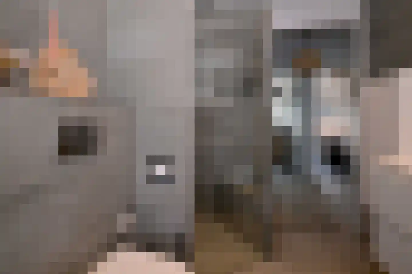 De Veldweide 12 Brummen thumbnail 33
