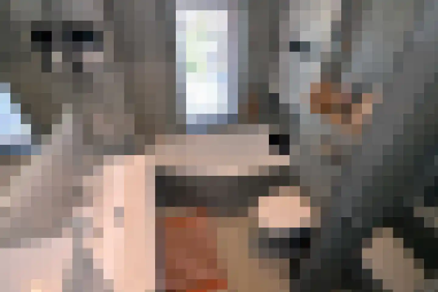 De Veldweide 12 Brummen thumbnail 35
