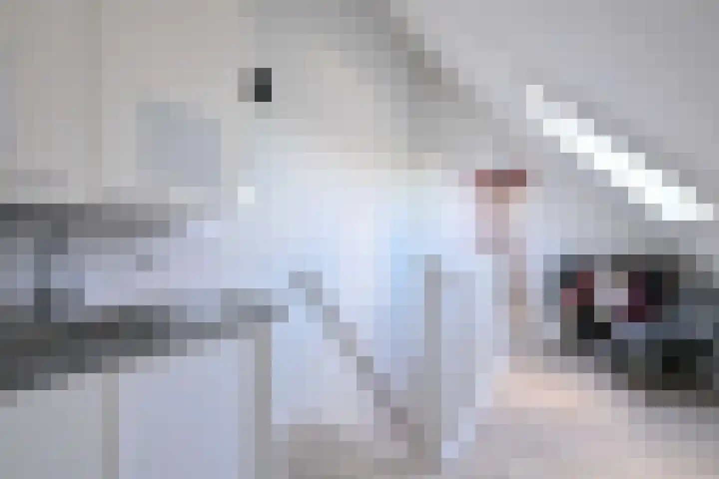 De Veldweide 12 Brummen thumbnail 37