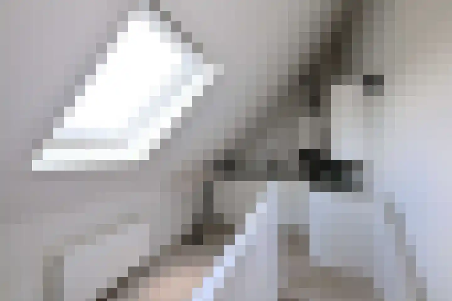 De Veldweide 12 Brummen thumbnail 38