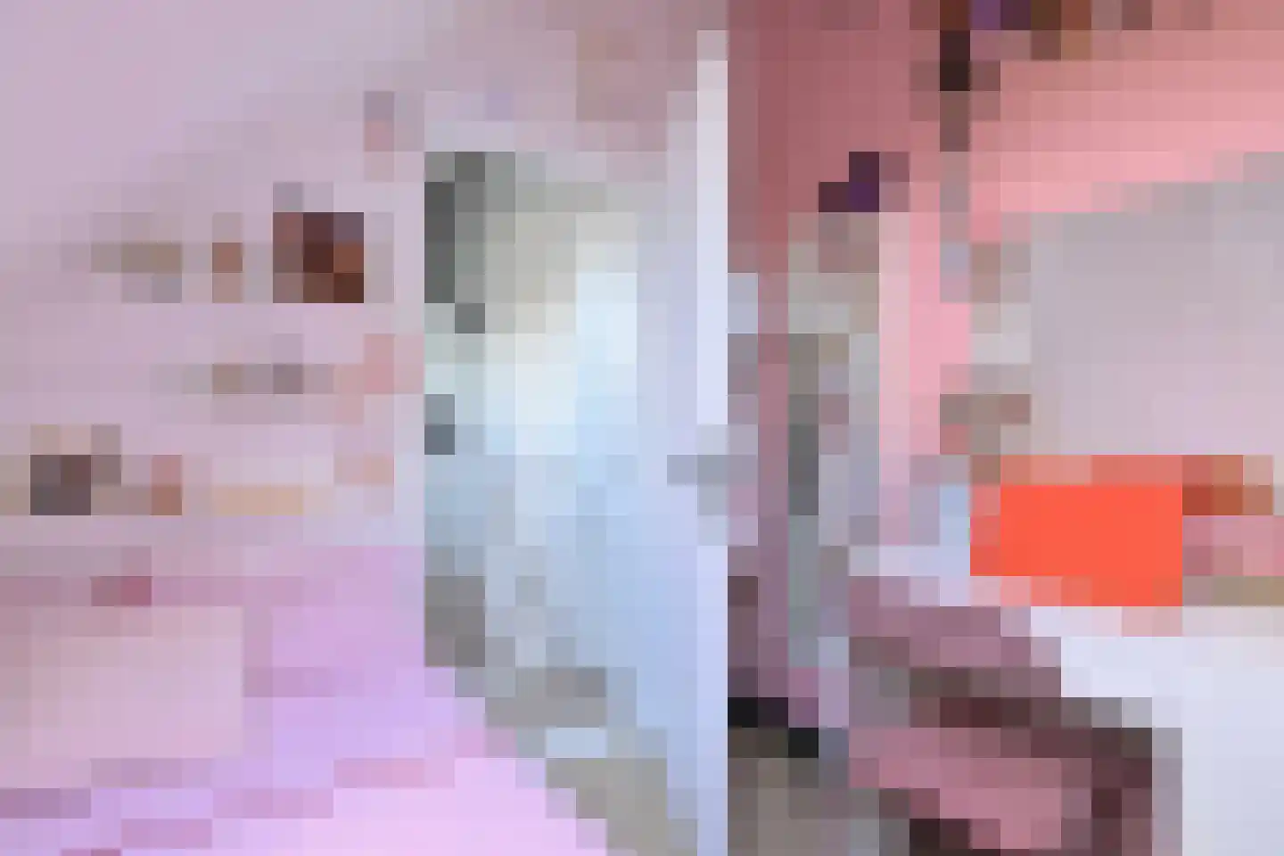 De Veldweide 12 Brummen thumbnail 41